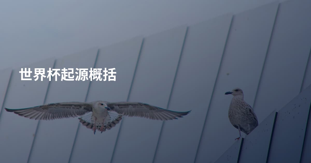 世界杯起源概括