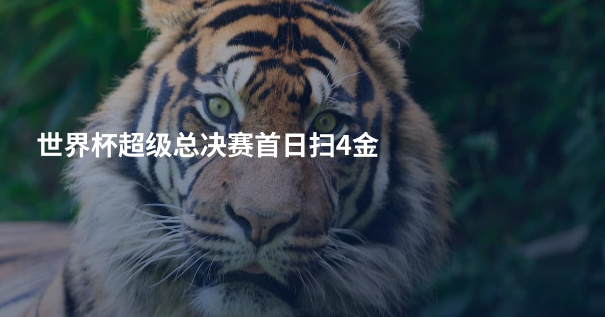 世界杯超级总决赛首日扫4金