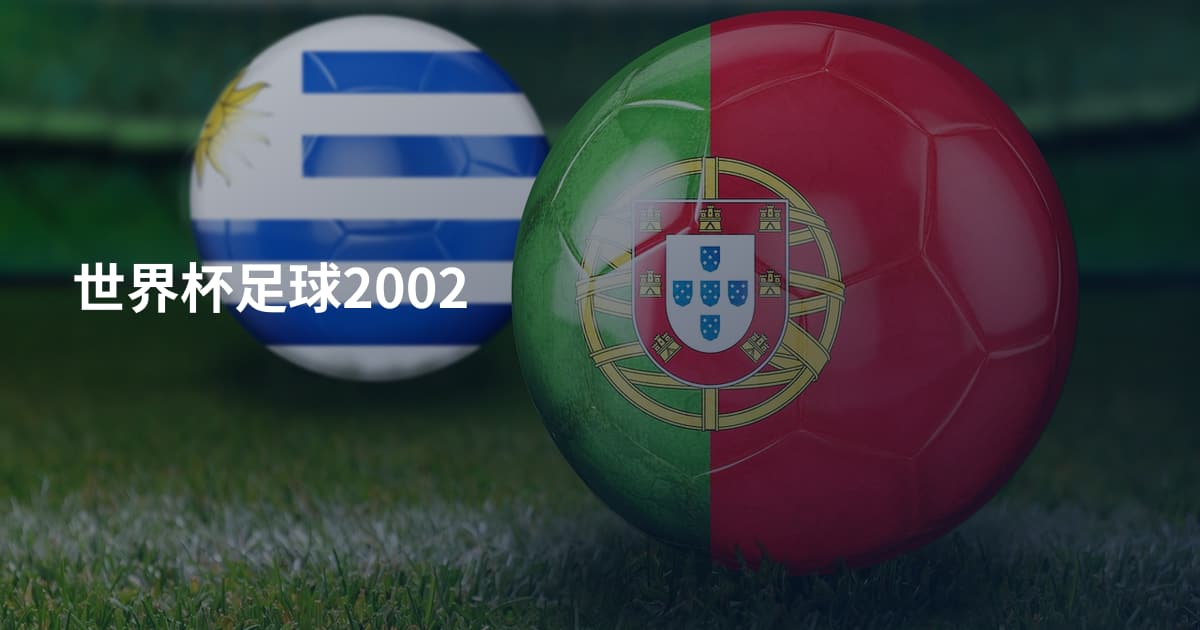 世界杯足球2002