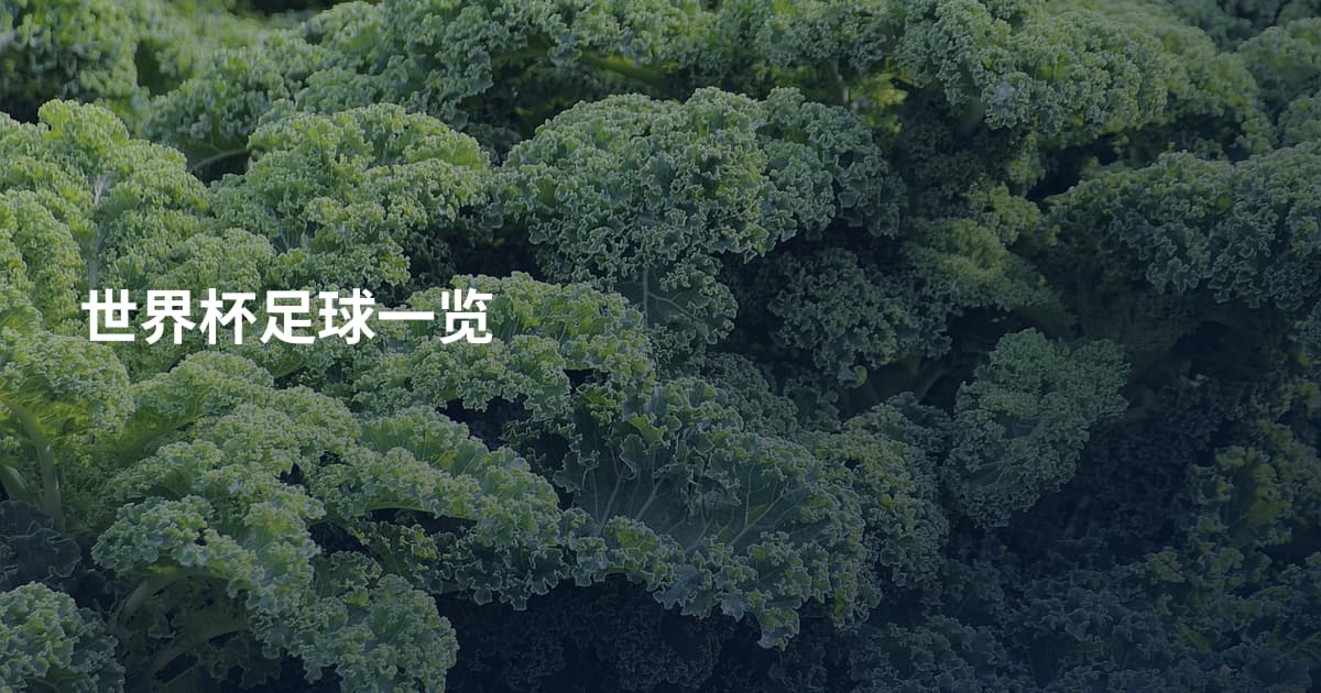 世界杯足球一览