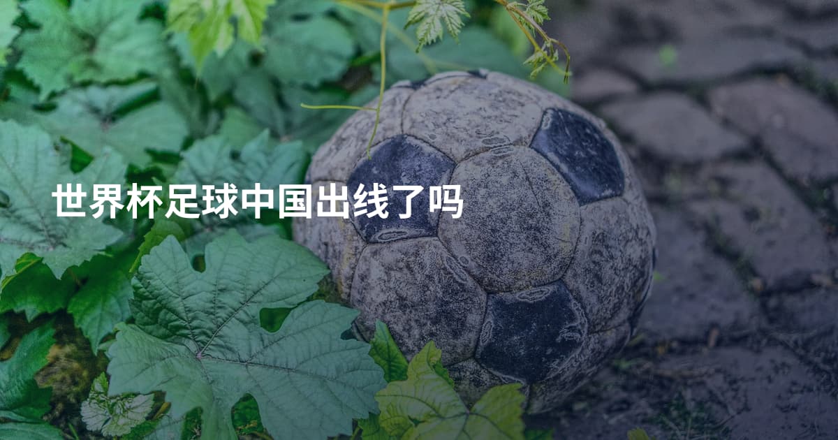 世界杯足球中国出线了吗