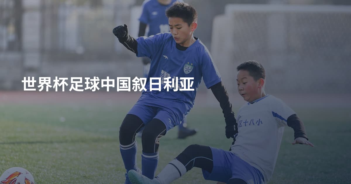 世界杯足球中国叙日利亚