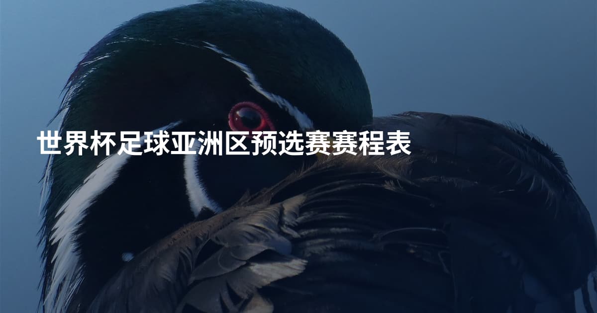 世界杯足球亚洲区预选赛赛程表