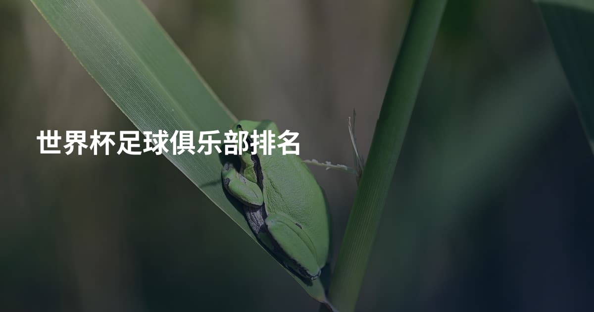 世界杯足球俱乐部排名