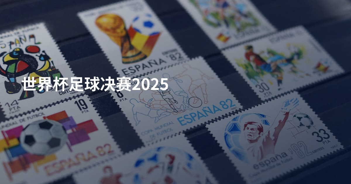 世界杯足球决赛2025