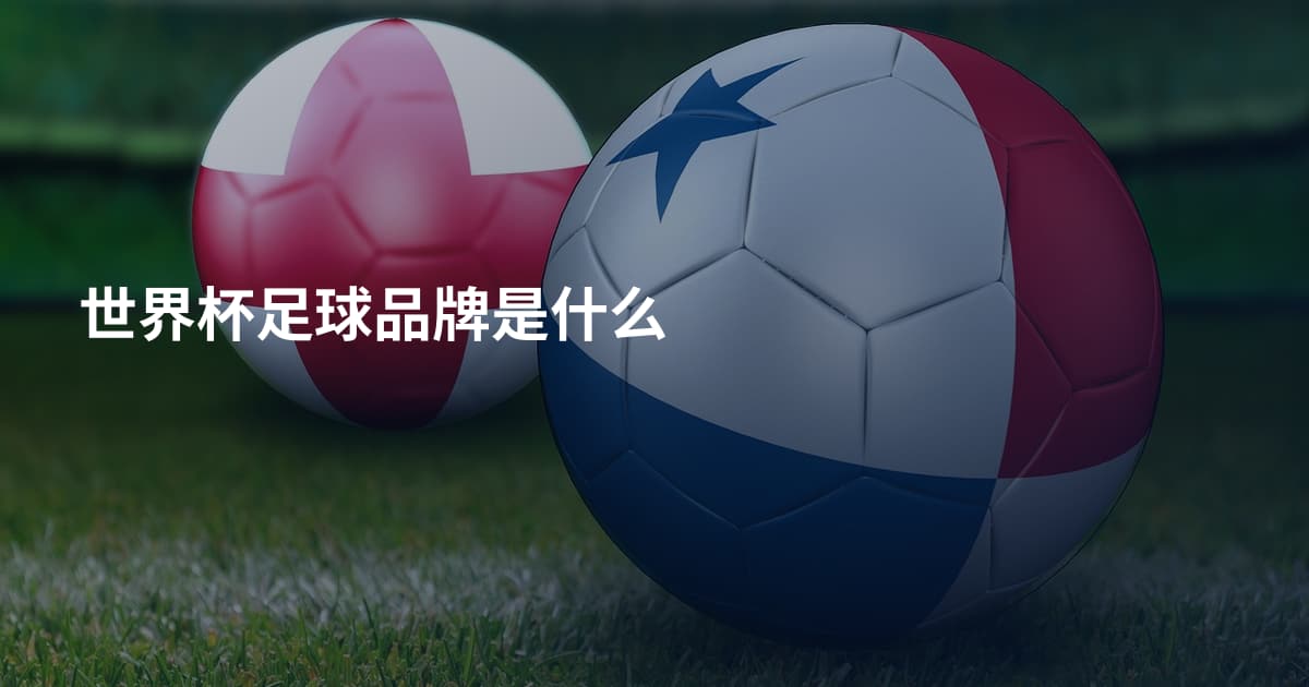 世界杯足球品牌是什么