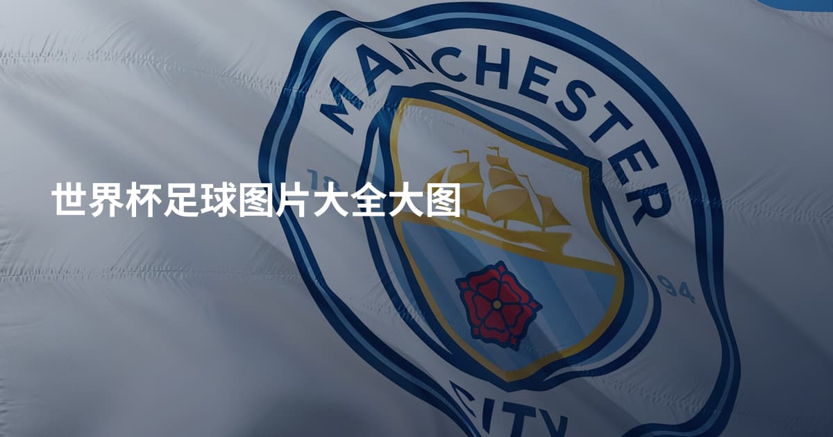 世界杯足球图片大全大图