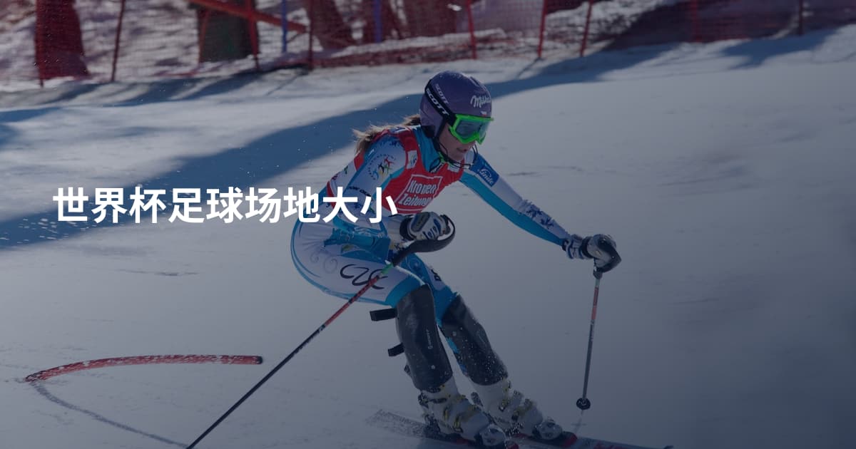 世界杯足球场地大小
