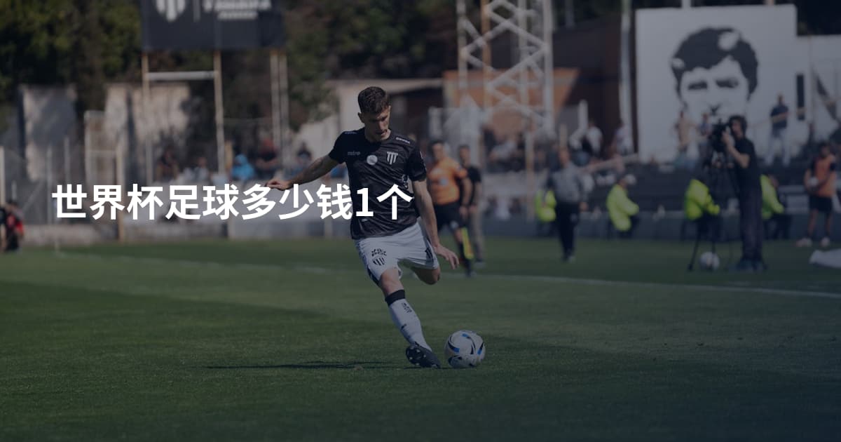 世界杯足球多少钱1个