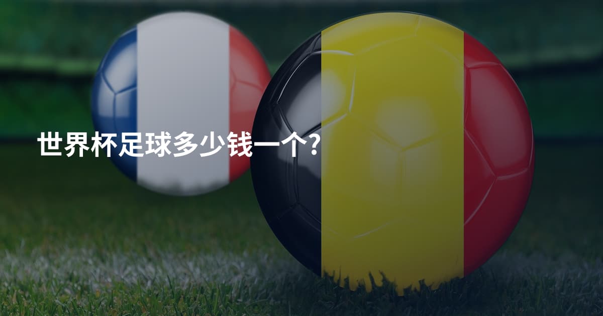 世界杯足球多少钱一个?