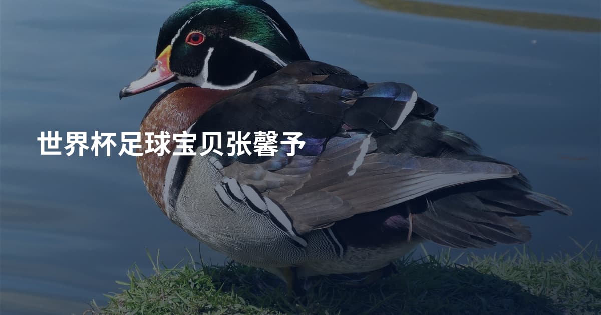 世界杯足球宝贝张馨予