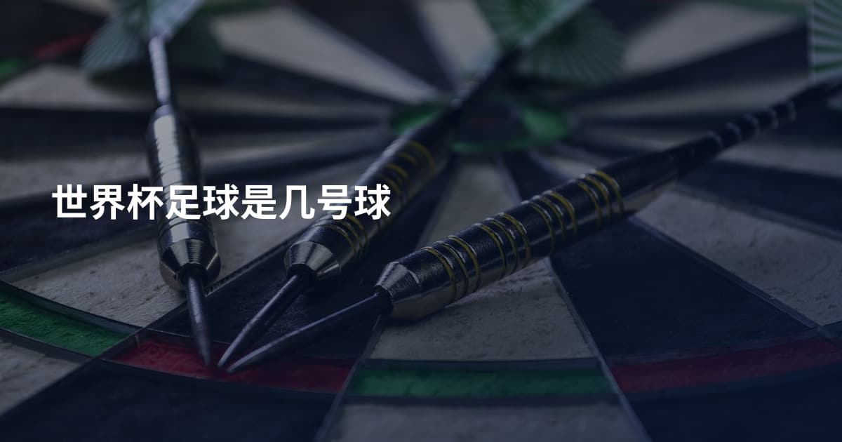 世界杯足球是几号球