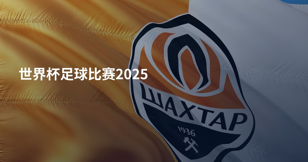 世界杯足球比赛2025