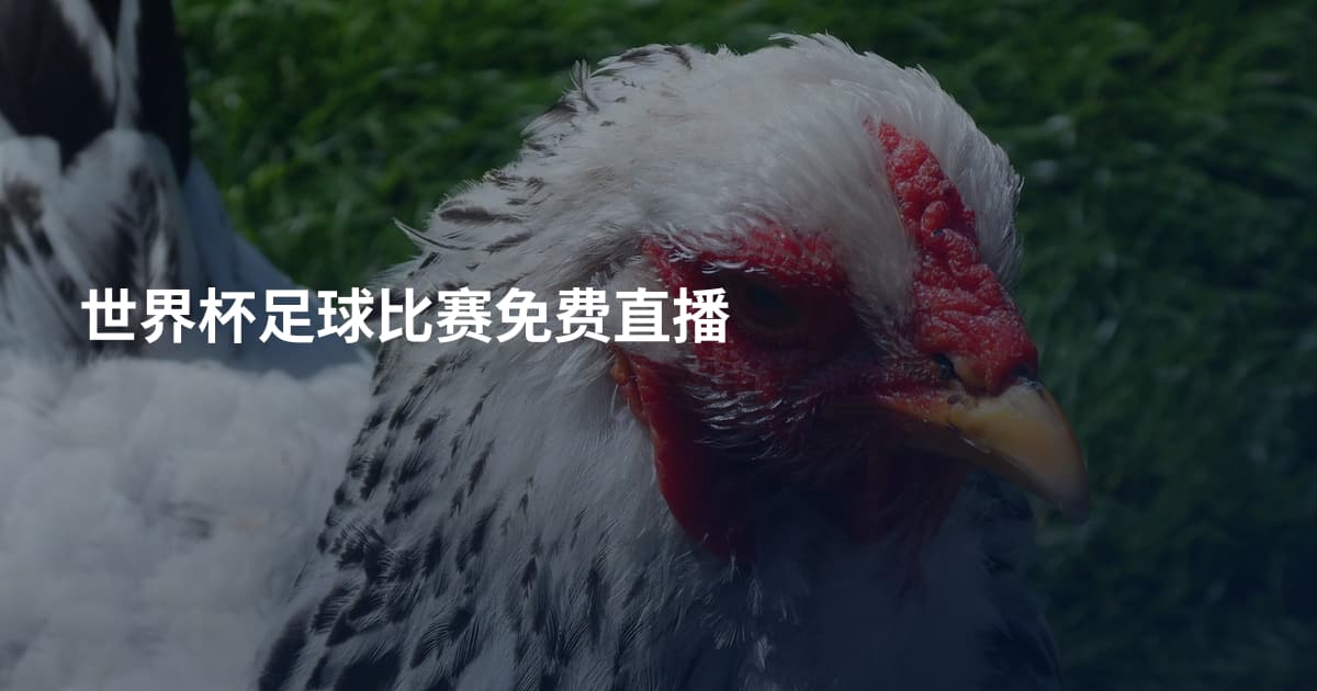世界杯足球比赛免费直播