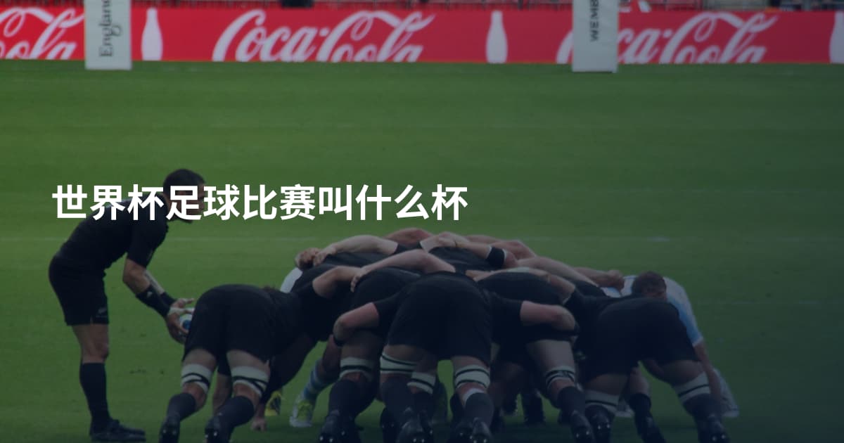 世界杯足球比赛叫什么杯