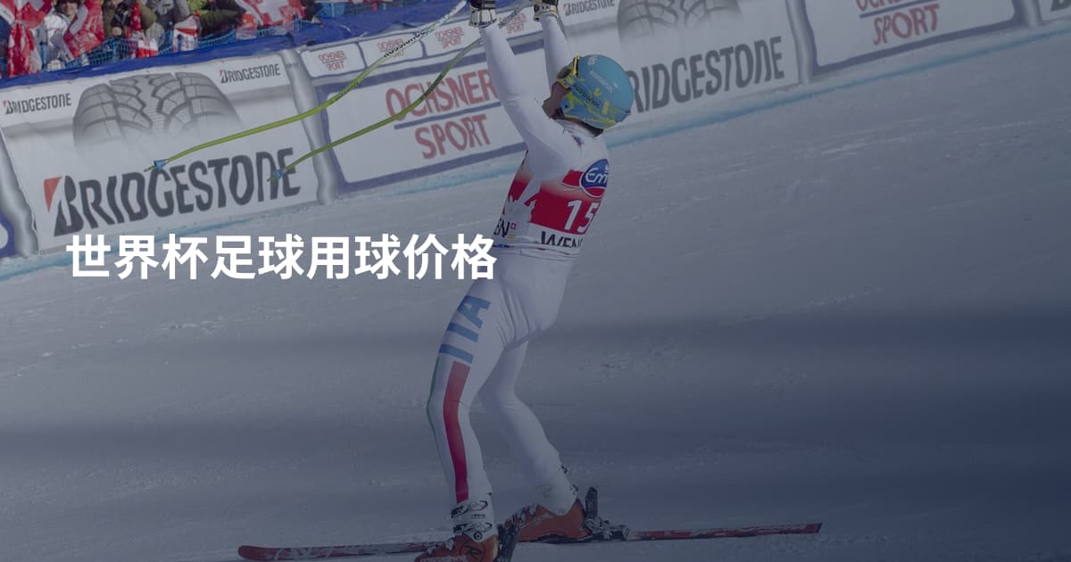 世界杯足球用球价格