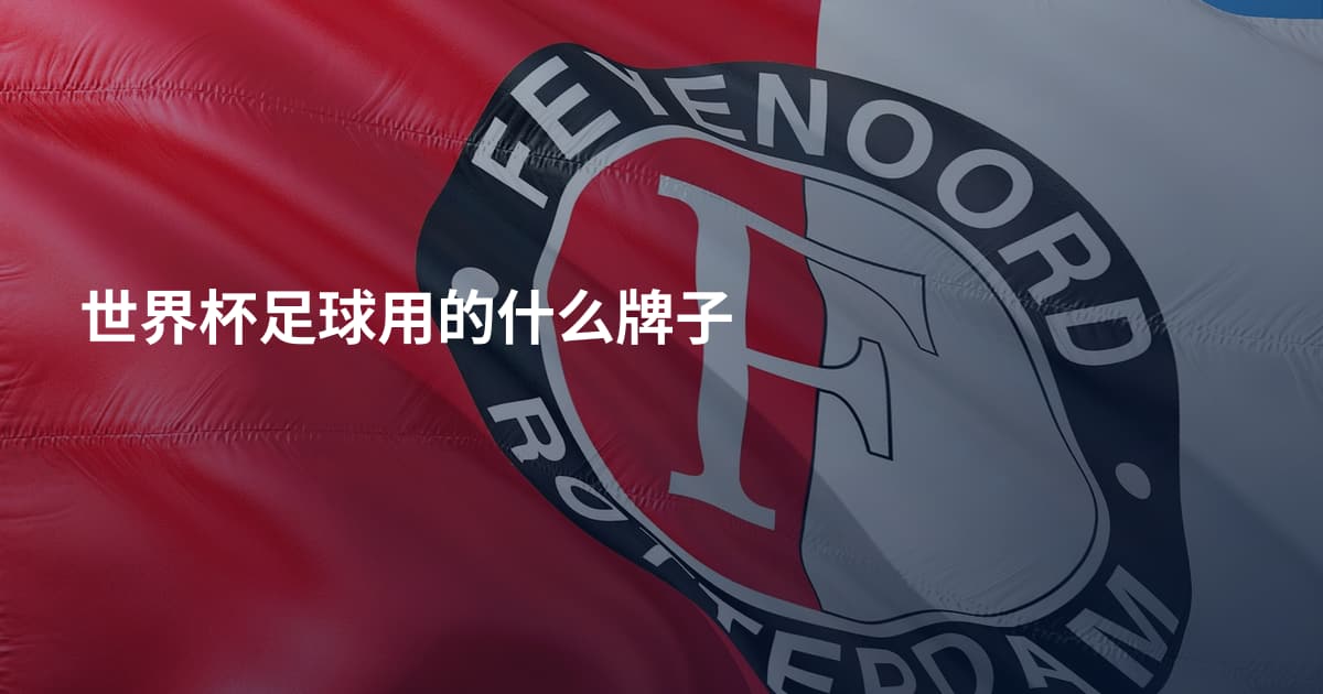 世界杯足球用的什么牌子
