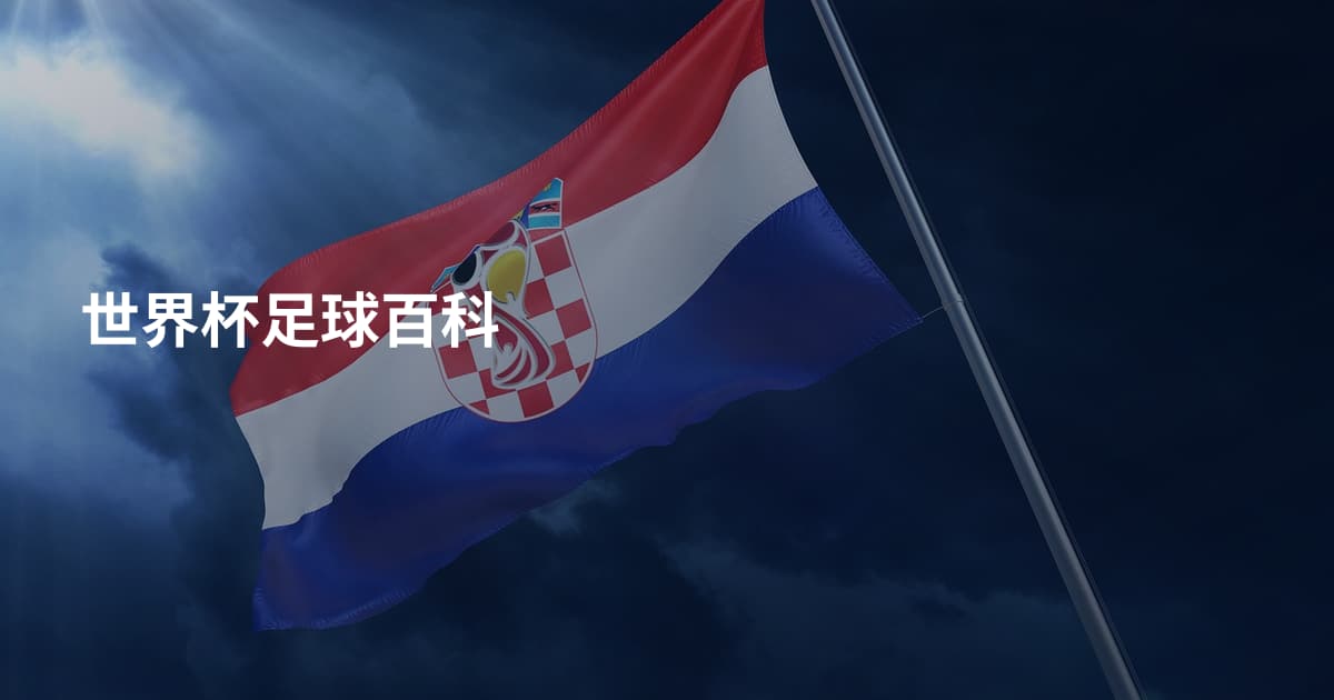 世界杯足球百科