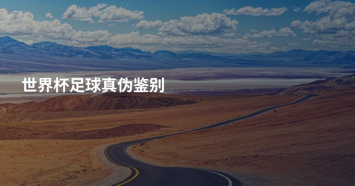 世界杯足球真伪鉴别