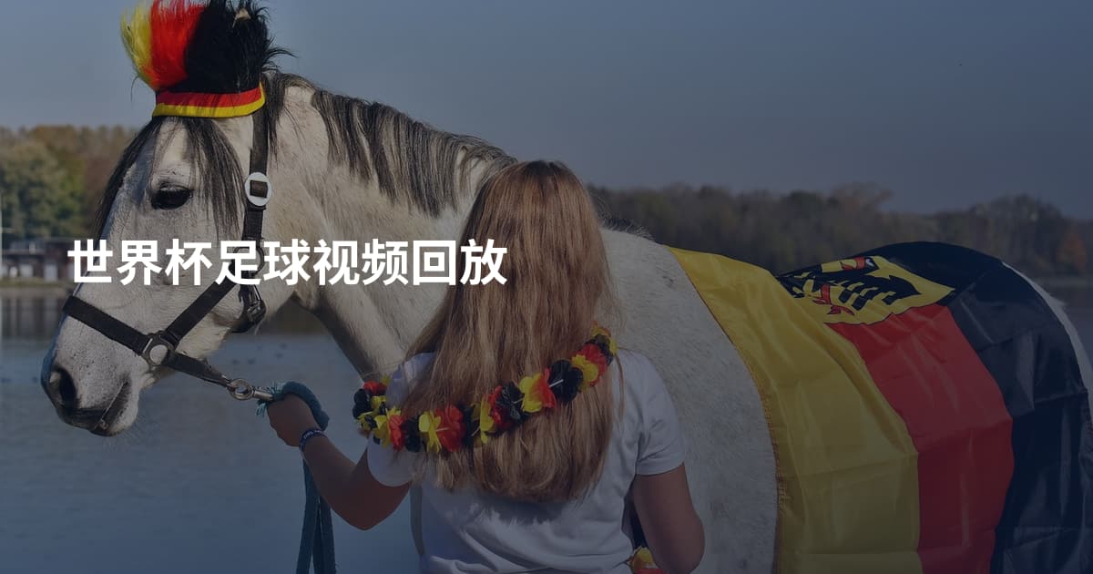 世界杯足球视频回放