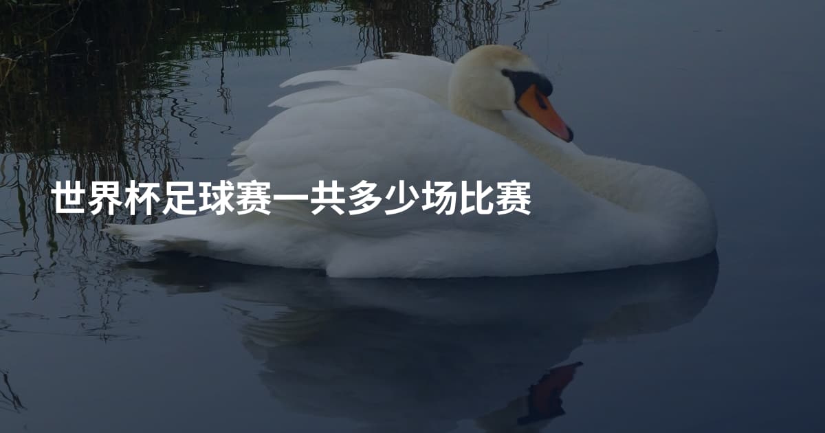 世界杯足球赛一共多少场比赛