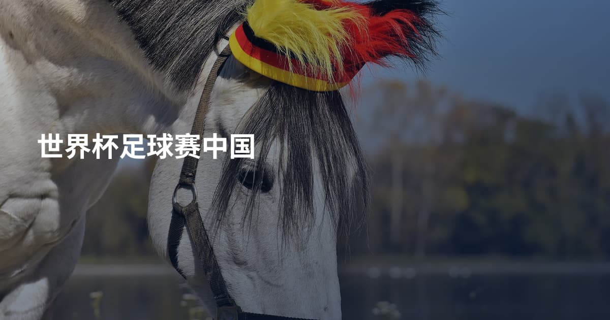 世界杯足球赛中国
