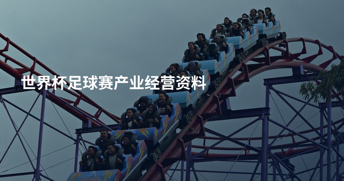 世界杯足球赛产业经营资料
