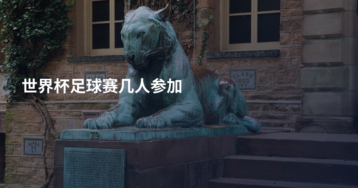 世界杯足球赛几人参加