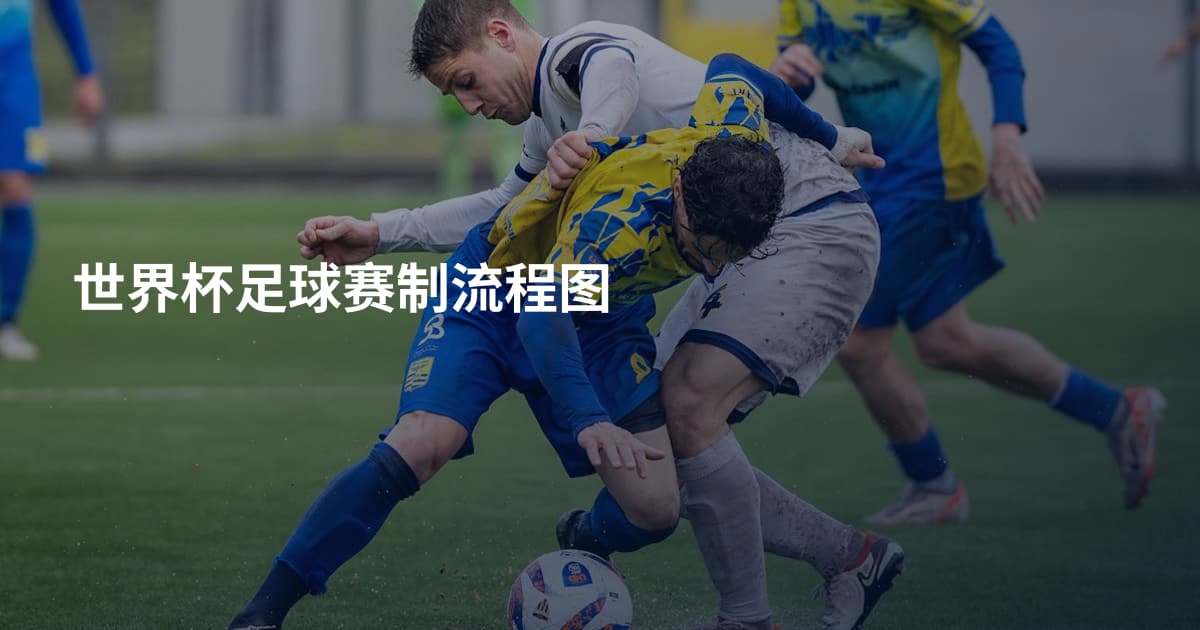 世界杯足球赛制流程图