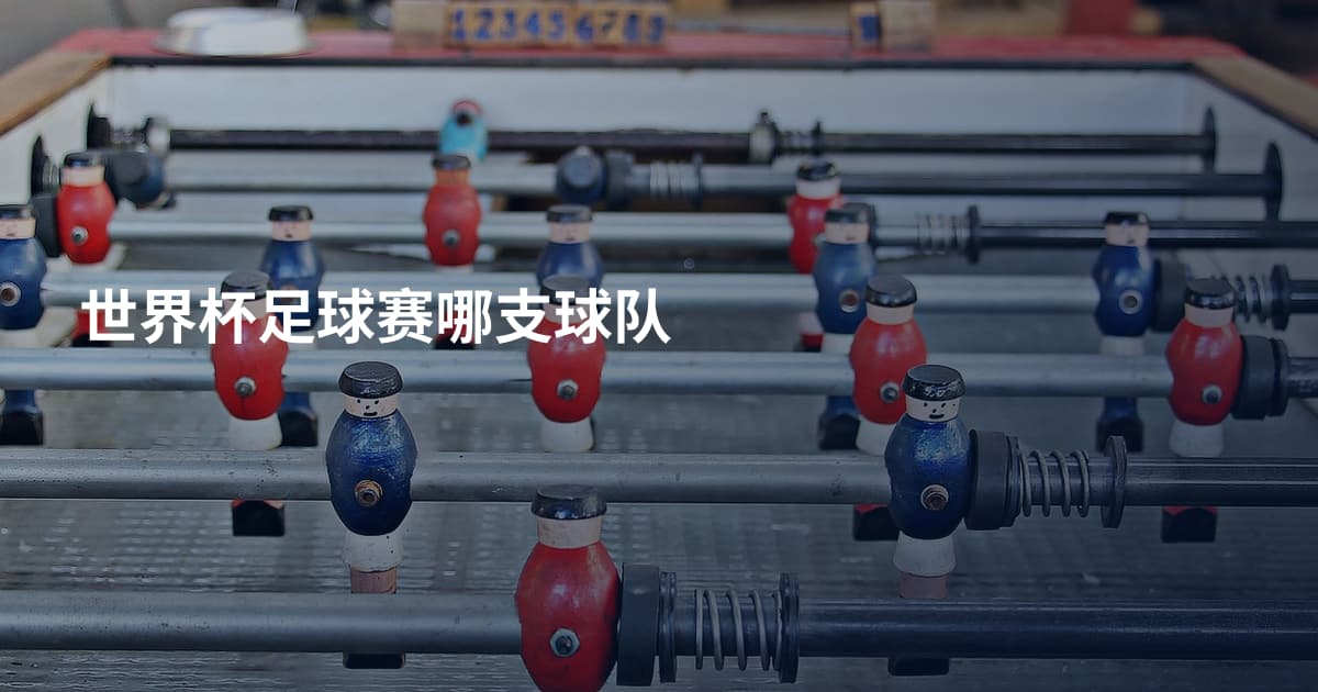 世界杯足球赛哪支球队