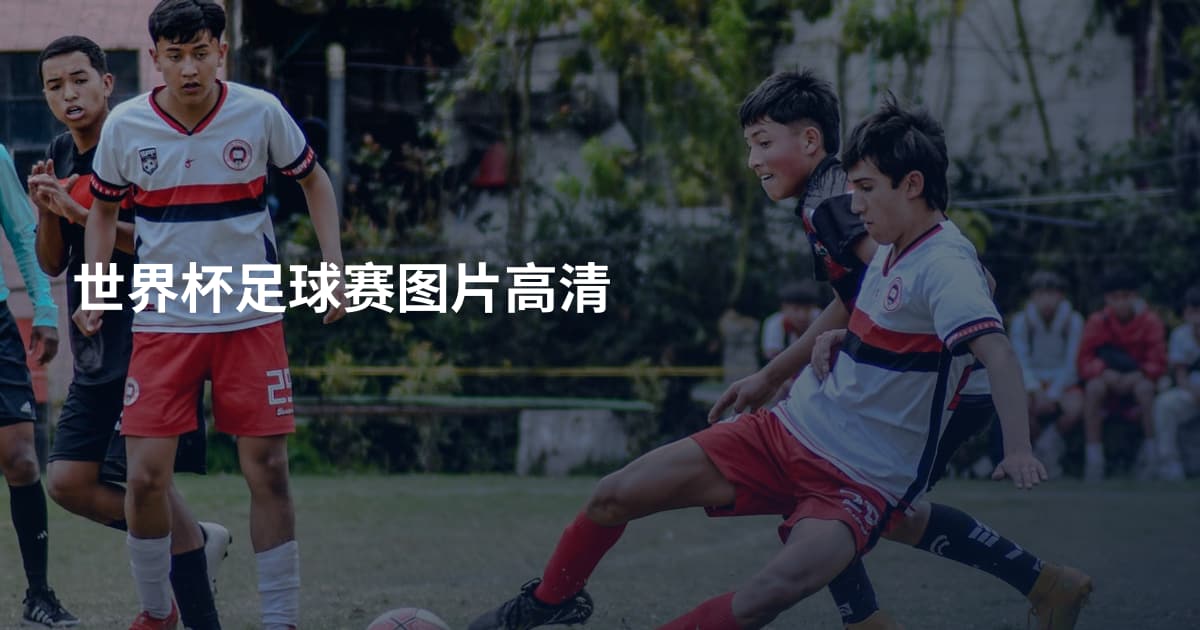 世界杯足球赛图片高清
