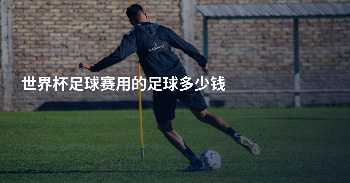 世界杯足球赛用的足球多少钱