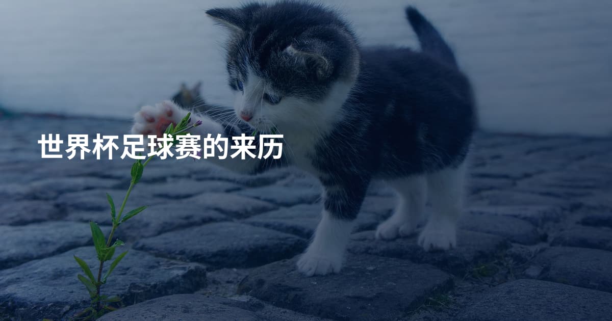 世界杯足球赛的来历
