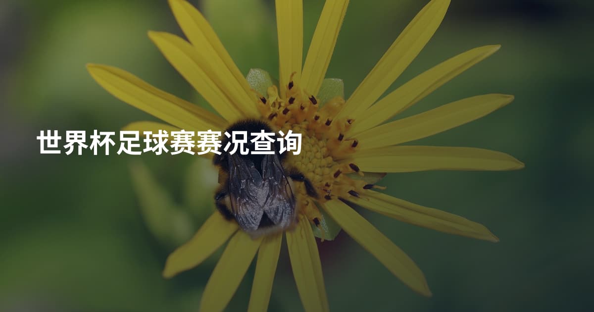 世界杯足球赛赛况查询