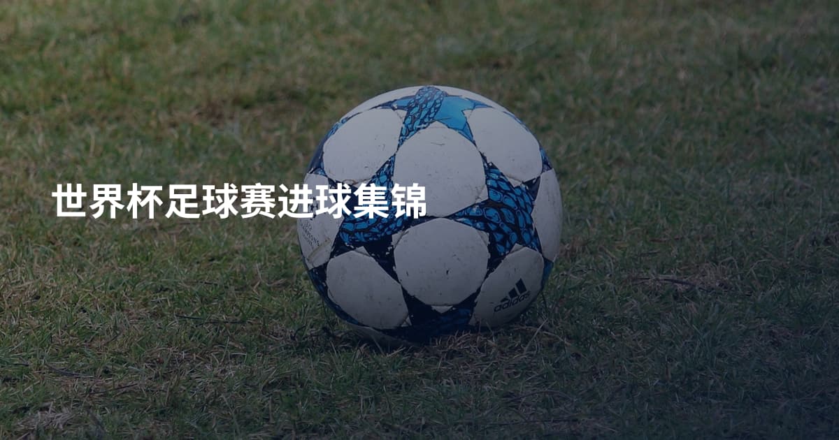 世界杯足球赛进球集锦