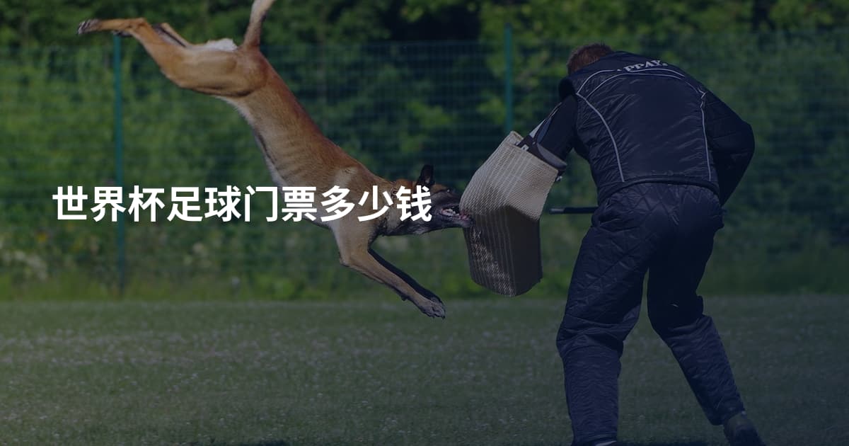 世界杯足球门票多少钱