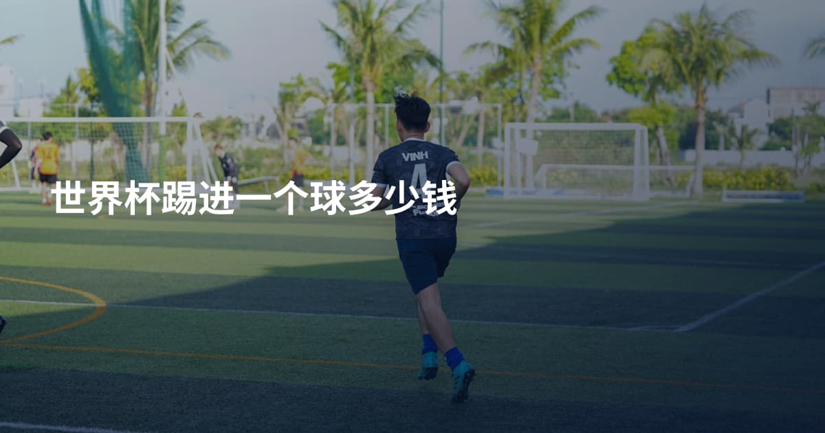 世界杯踢进一个球多少钱