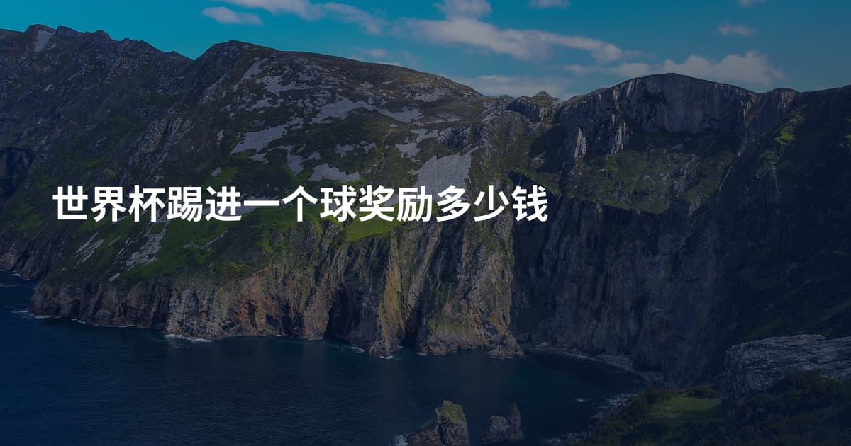 世界杯踢进一个球奖励多少钱