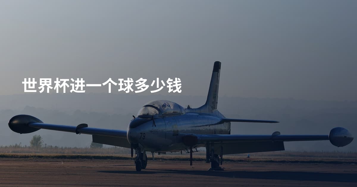世界杯进一个球多少钱