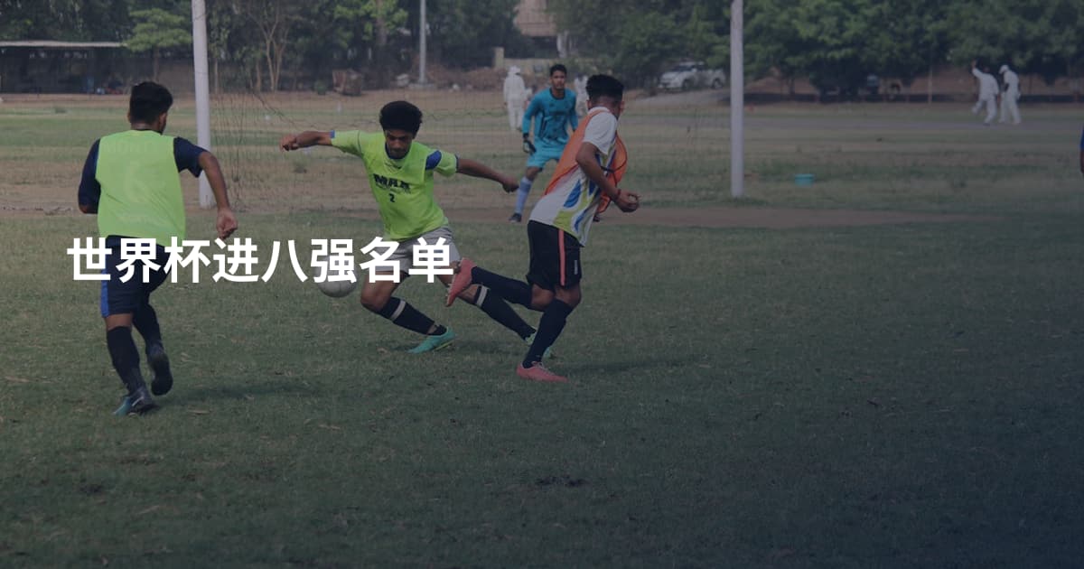 世界杯进八强名单
