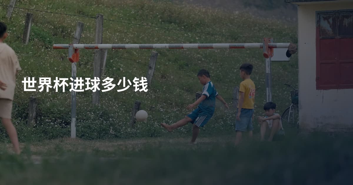 世界杯进球多少钱