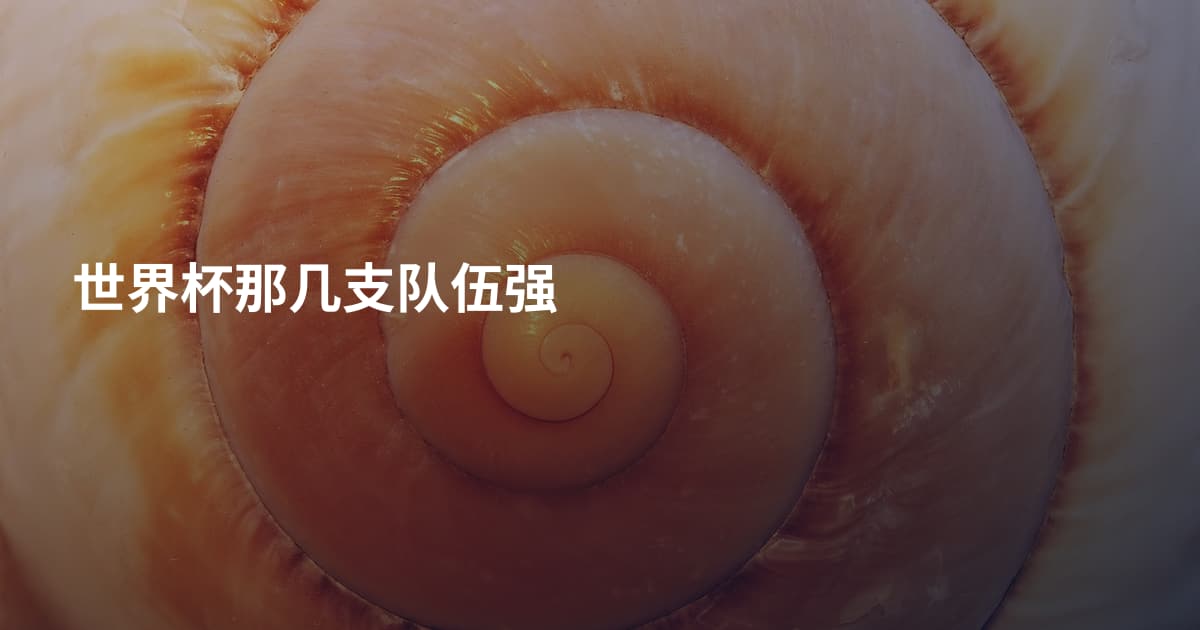世界杯那几支队伍强