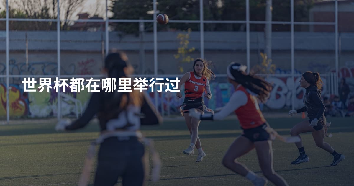 世界杯都在哪里举行过
