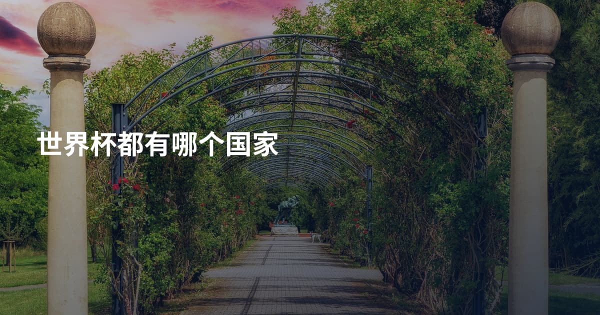 世界杯都有哪个国家
