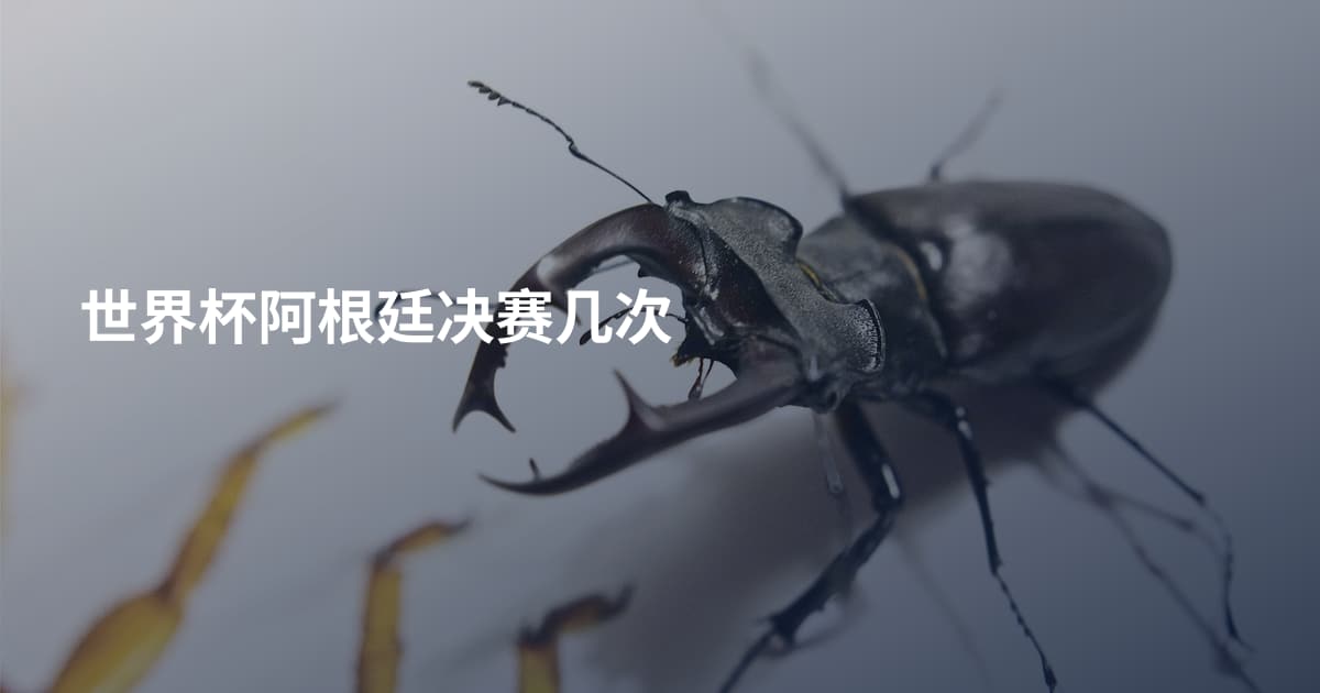 世界杯阿根廷决赛几次