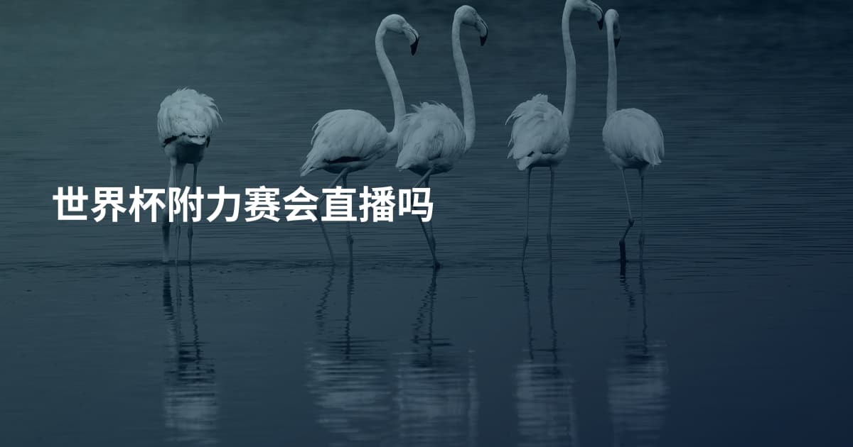 世界杯附力赛会直播吗