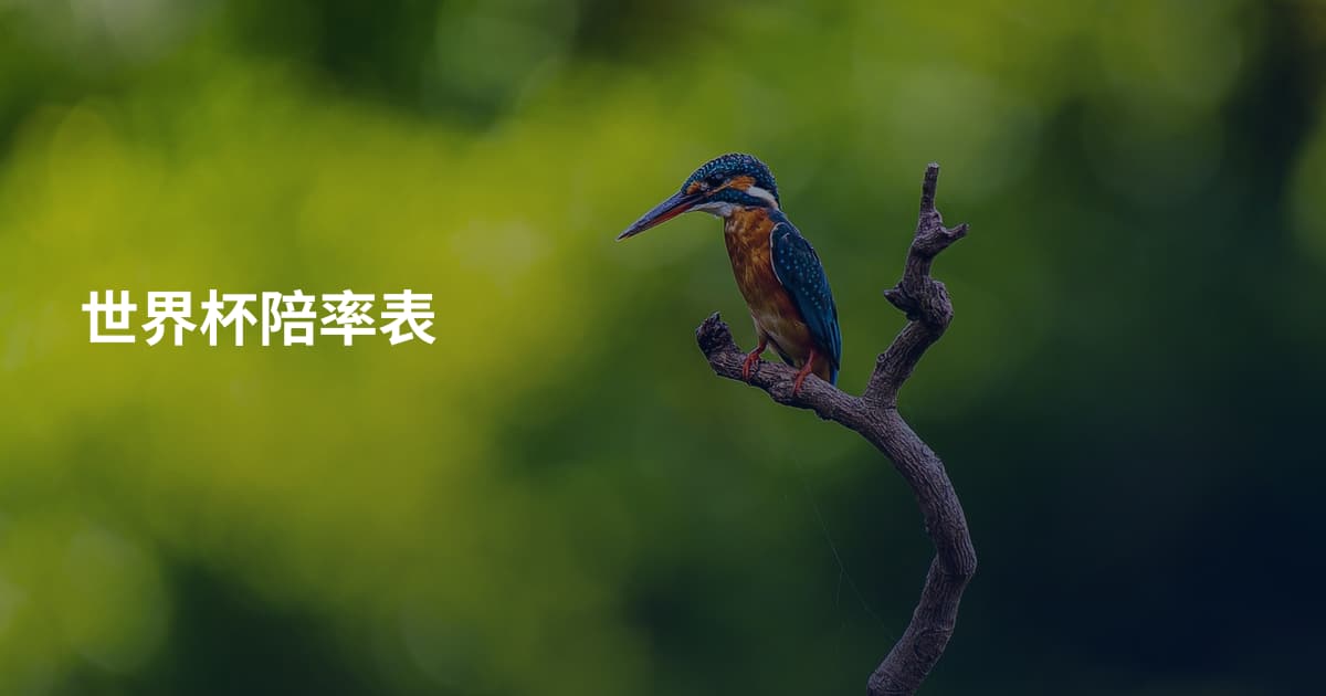世界杯陪率表