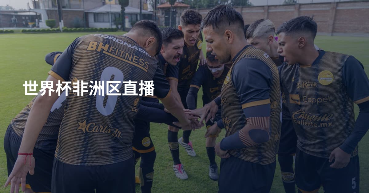 世界杯非洲区直播