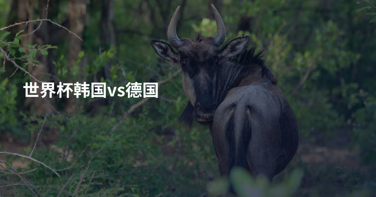 世界杯韩国vs德国