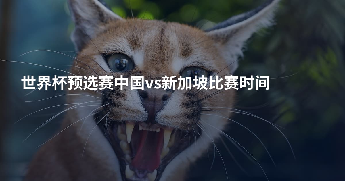 世界杯预选赛中国vs新加坡比赛时间